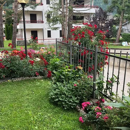 Casa Rosa *